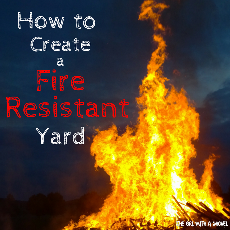 How to Create a Fire Resistant Yard