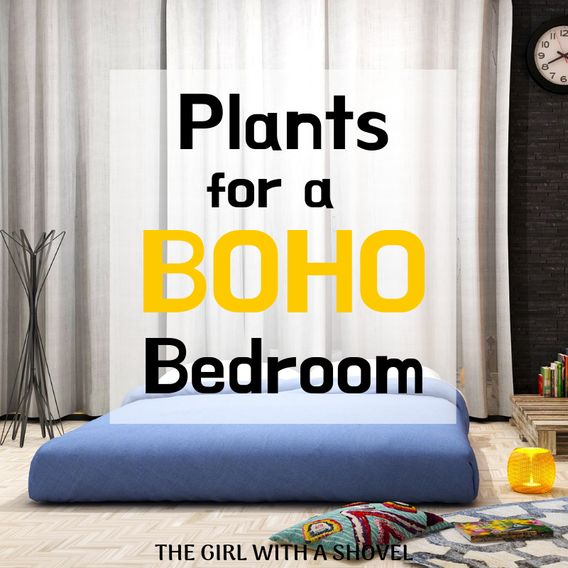 Plants for a Boho Bedroom Cover Photo
