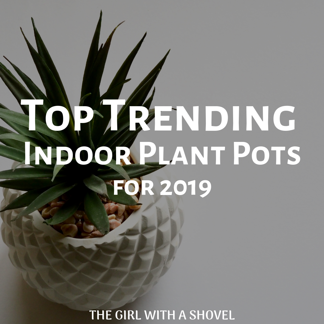 Top 10 Trending Indoor Plant Pots