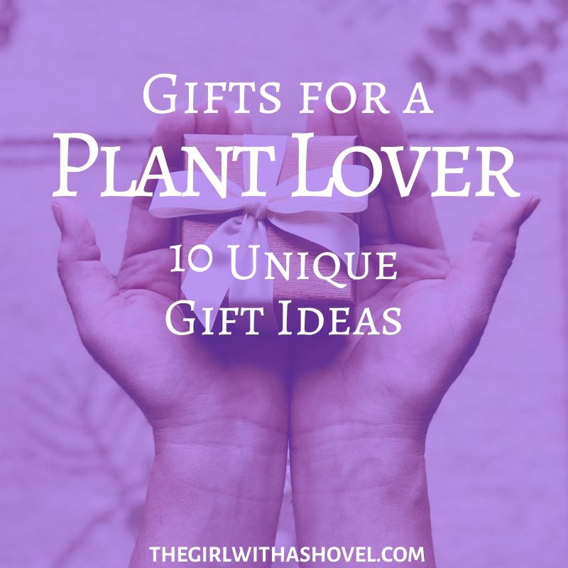 Unsure of what to buy for that special plant lover in your life? Check out one of these 10 unique gift ideas! The perfect gift for any plant person!