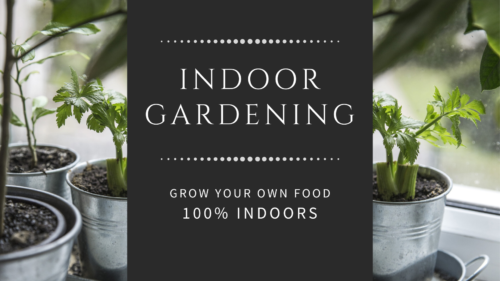 Learn everythig you need to know about how to grow your own food indoors! The Indoor Gardening course will teach you everything you need to know!