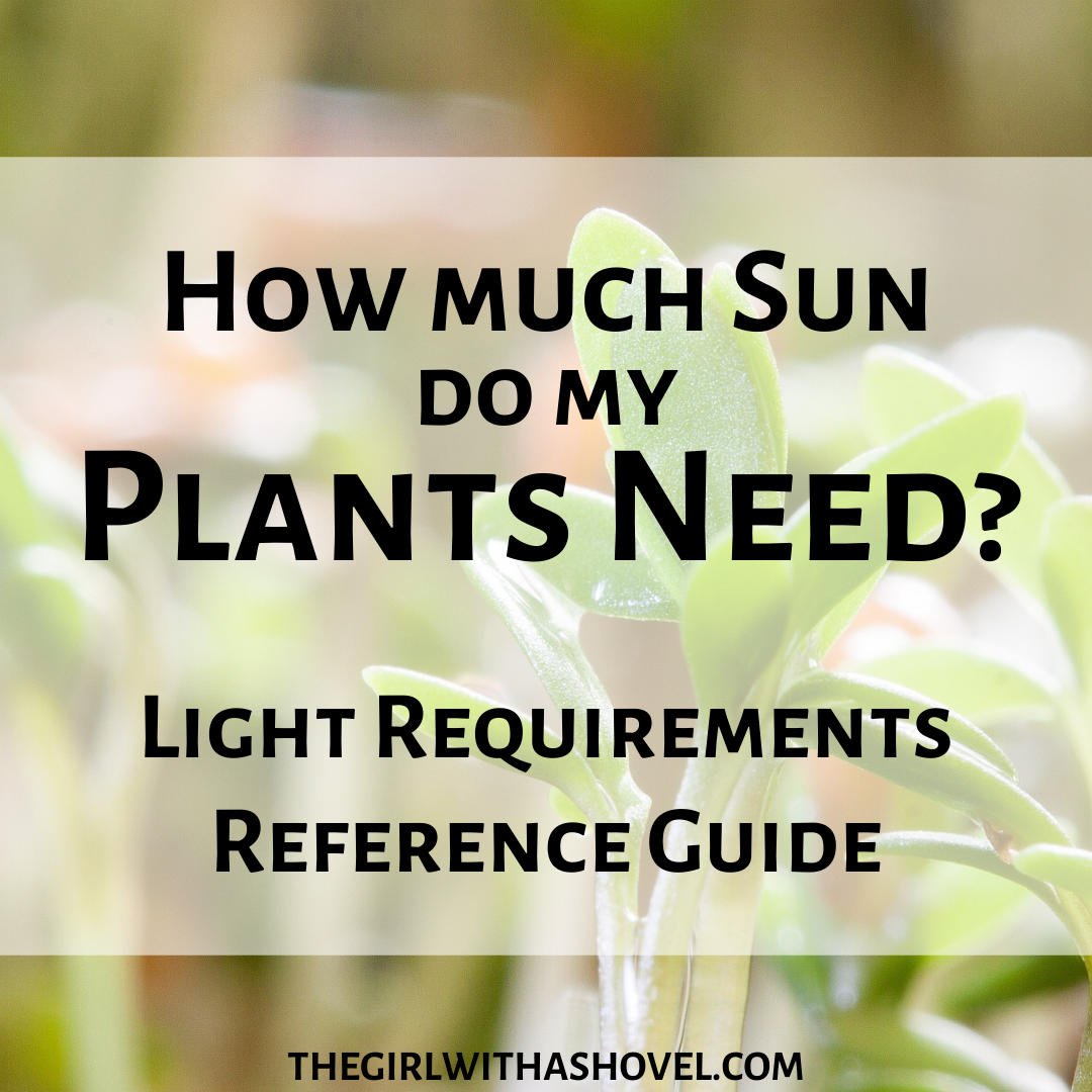 How Much Sun do my Plants Need?