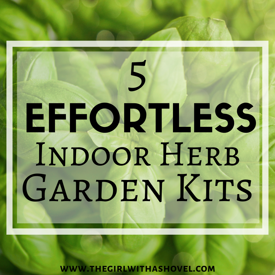 5 Effortless Indoor Herb Garden Kits