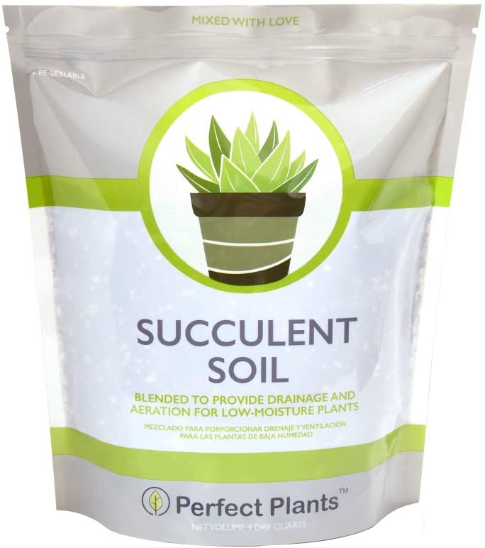 Picture of Perfect Plants Succulent soil