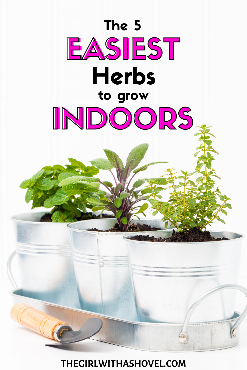 The 5 easiest herbs to grow indoors cover picture