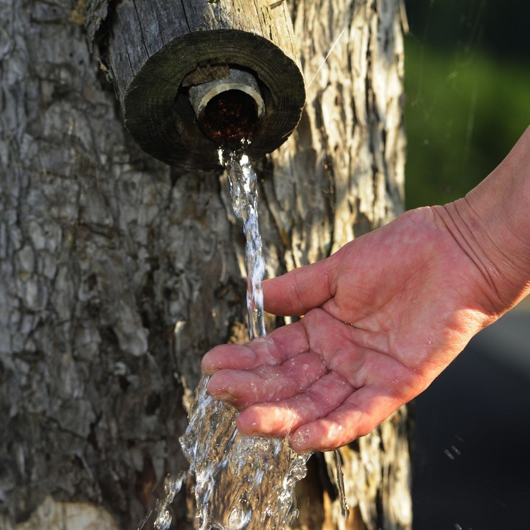 A picture of water coming out of a tree