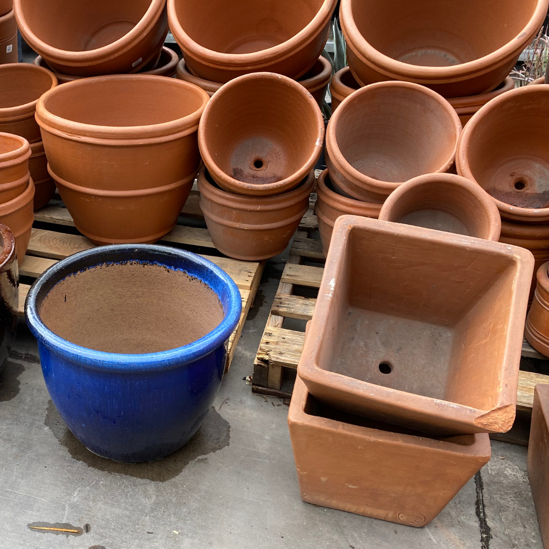 Picture of various shapes and sizes of pots