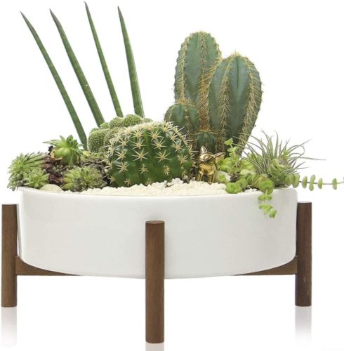 Succulent Planter Bowl holding Succulents and cacti