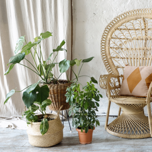 3 ceramic pots with plants next to a cream sheet with a wicker basket and a cream and orange pillow