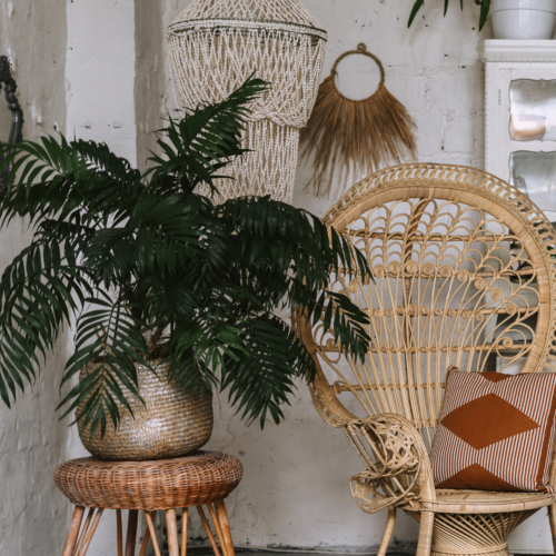 Indoor palm in a wicker basket next to a wicker chair with a macrame hanging behind
