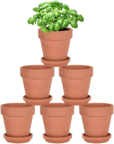 a set of six small traditional terracotta pots with saucers in a pyramid arrangement; the top pot has a small basil plant inside