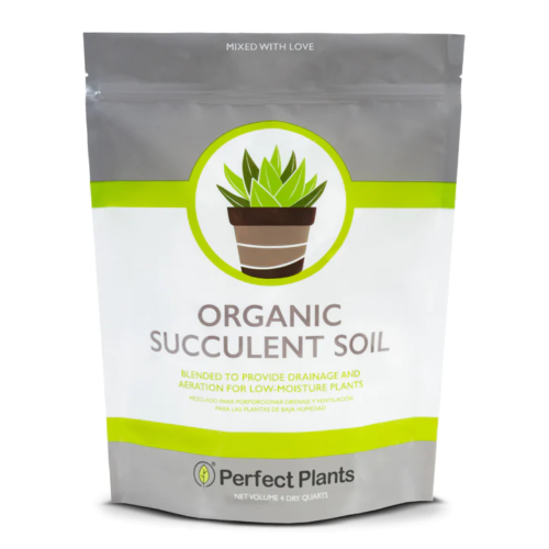 bag of soil labelled organic succulent soil with a generic image of a succulent