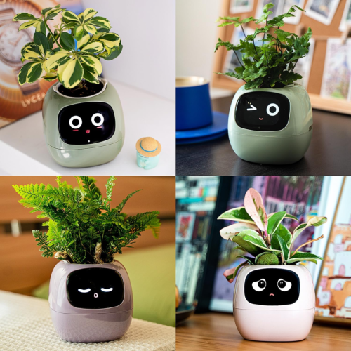 Picture of 4 different smart plant pots with various plants inside as well as the pot having different face expressions