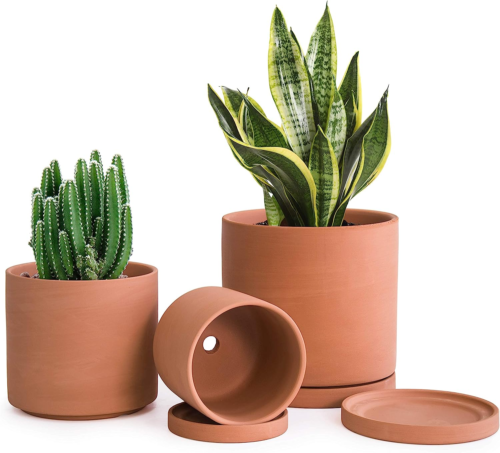 set of three straight edge terracotta pots with saucers, one with a cactus inside, one with a snake plant, and one empty
