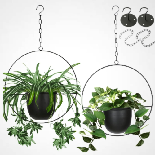 two hanging planters with round metal rings around the pot and extra hooks and chain, with a pothos and spider plant in the pots