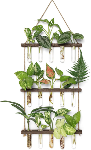 Hanging propagation system holding up to 15 plants