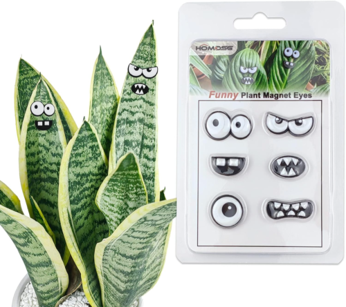 Snake plant with funny plant magnet eyes and mouth