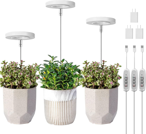 Small plant light rings 