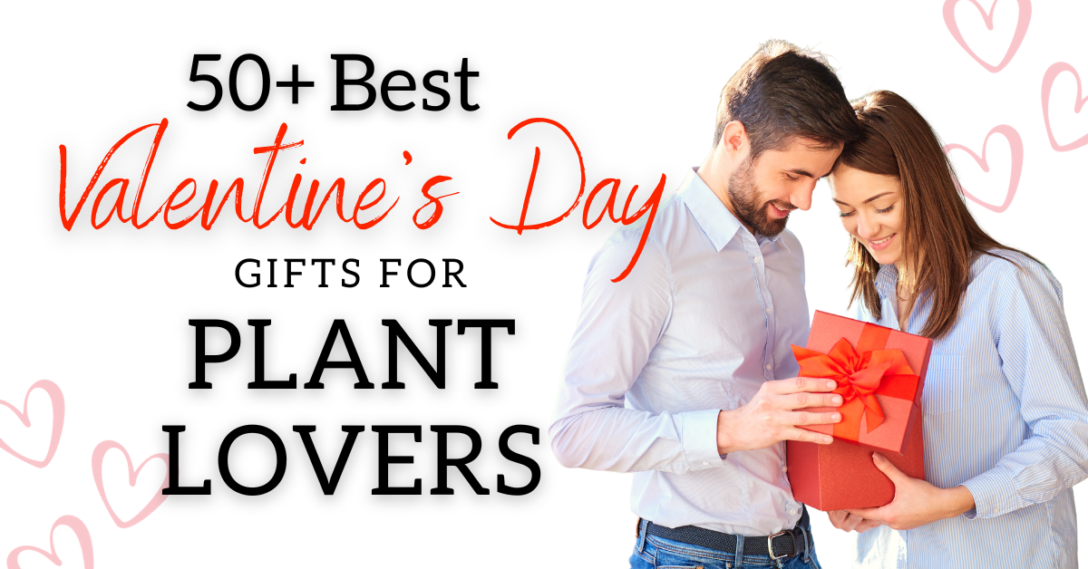 50+ Best Valentine’s Day Gift Ideas for Plant Lovers