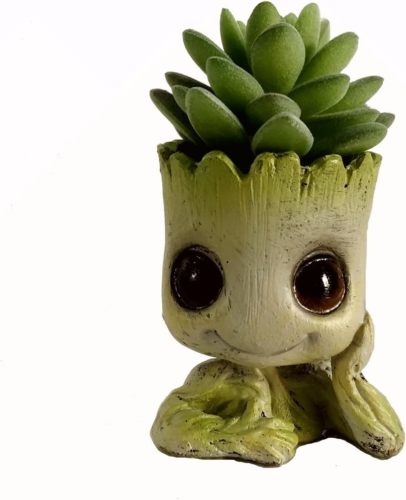 bust of groot with succulent growing out the top