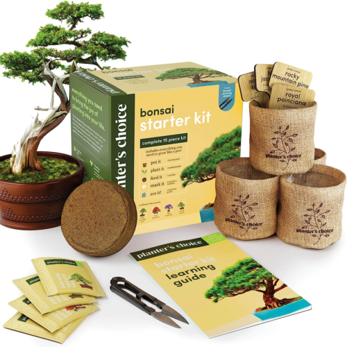 a bonsai tree kit with a bonsai tree, woven pots, stakes, coir soil, seeds, pruning shears, and a starter guide