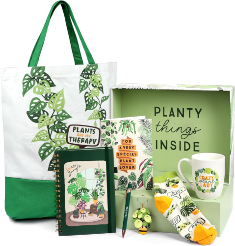 a gift box with a houseplant-themed tote, card, journal, pen, keychain, mug, and socks