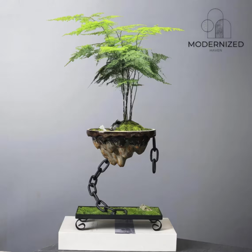 fern plant in floating mountain planter connected by rigid chain