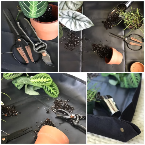 collage of images showing plant mat, soil, houseplants, and gardening tools