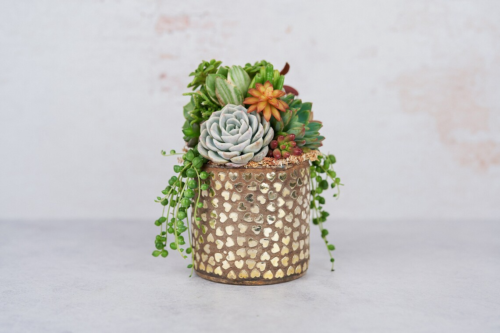 an arrangement of succulents in a pot with hearts all over it