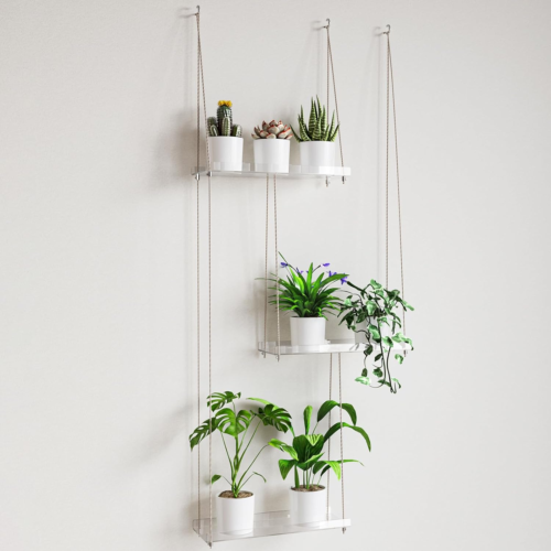 houseplants on 3 clear shelves hanging from the wall