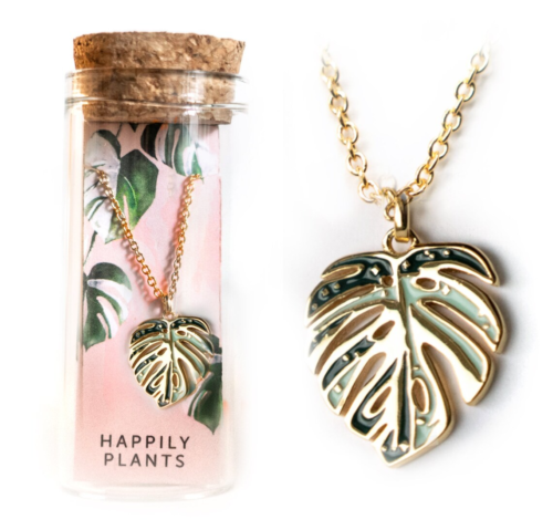 bottle with a monstera necklace inside, then a closeup of the monstera shaped pendant