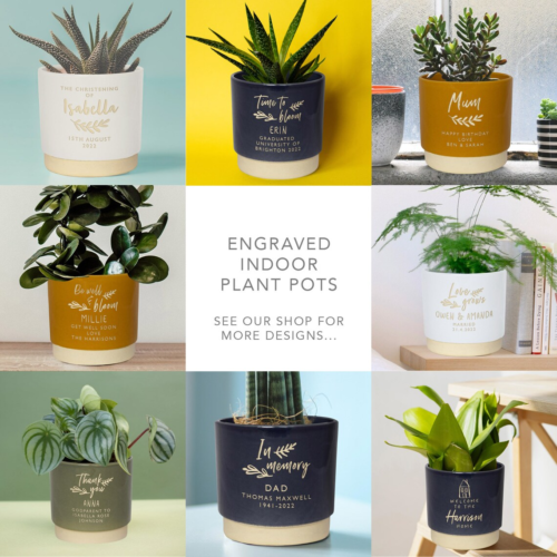 a variety of houseplant pots with names and messages engraved into each one