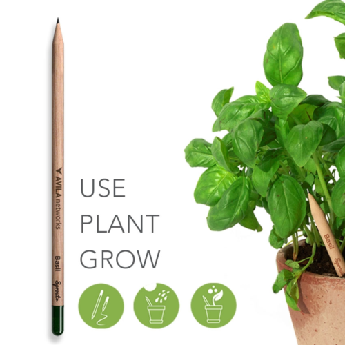 plantable pencil with phrase "use, plant, grow" next to a pot with a basil plant and a basil pencil sticking out