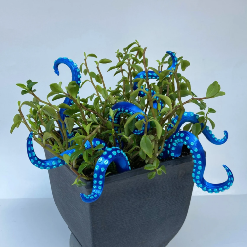 a houseplant in a pot with curvy blue octapus tentacles coming out of it