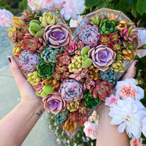 wooden heart-shaped planter with colorful succulents inside