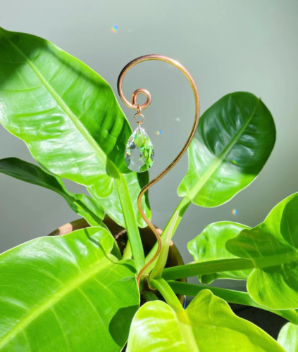 a philodendron with a curved plant stake with a shimmering crystal pendant hanging from it