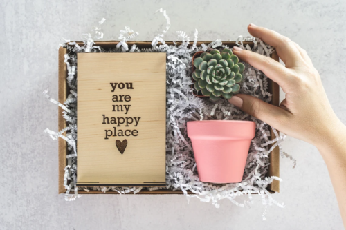an open gift box with a succulent, a pot, and a sign reading "you are my happy place"