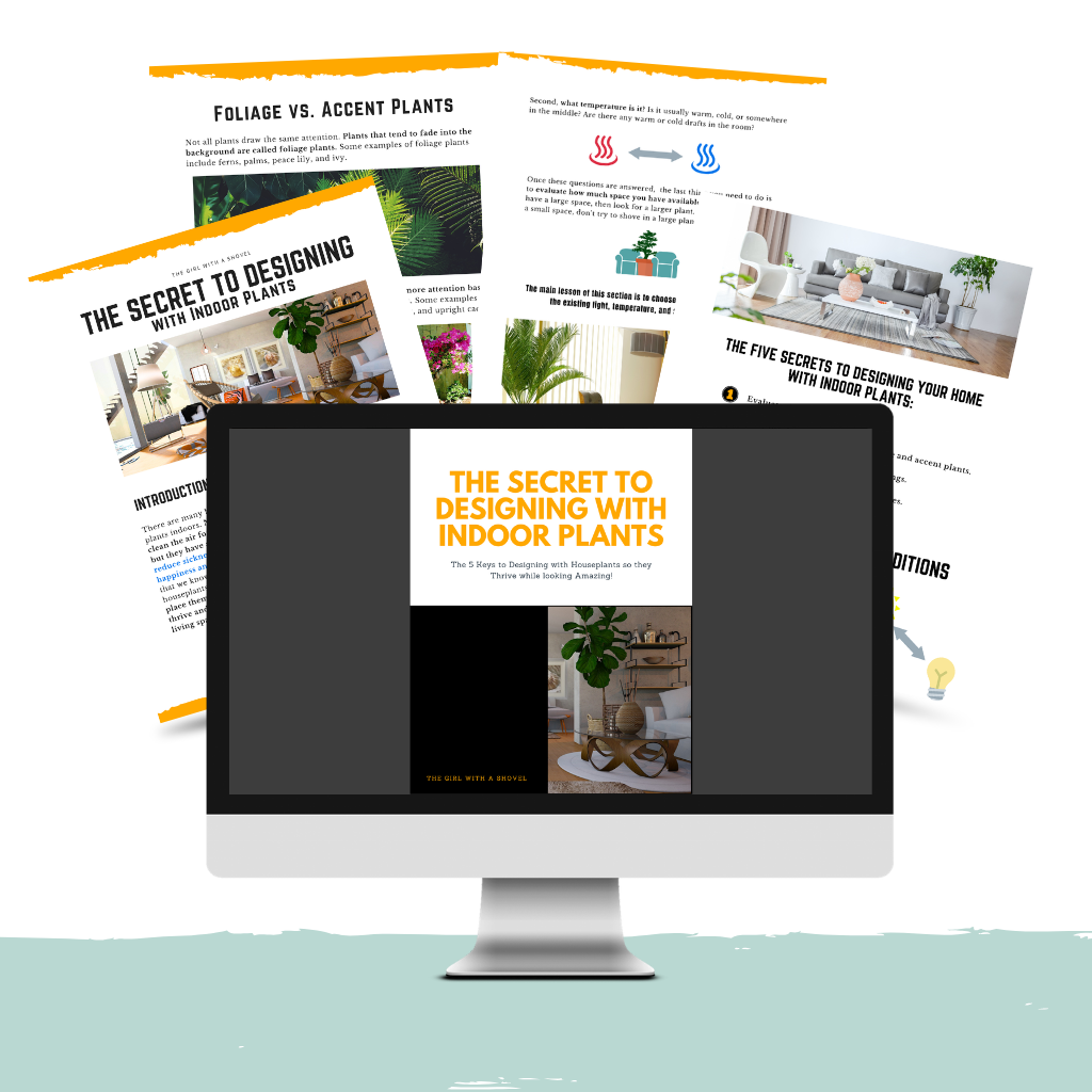 computer displaying pdf guide with pages splayed behind